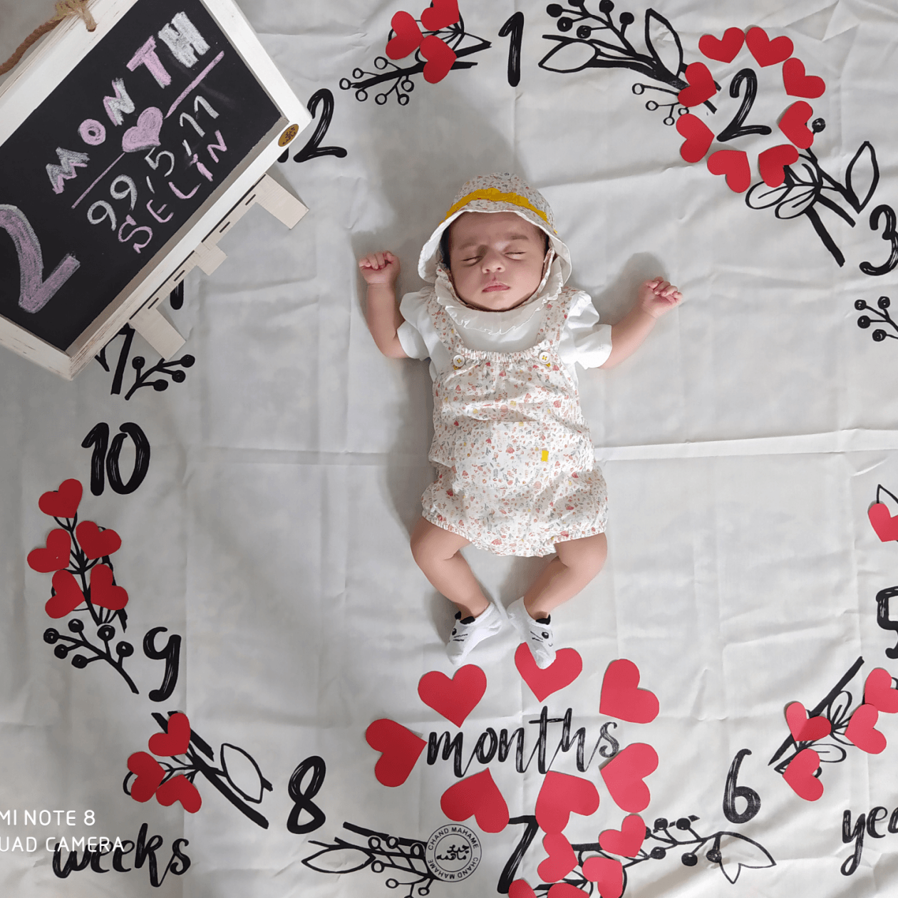 پارچه-های-عکاسی-19972