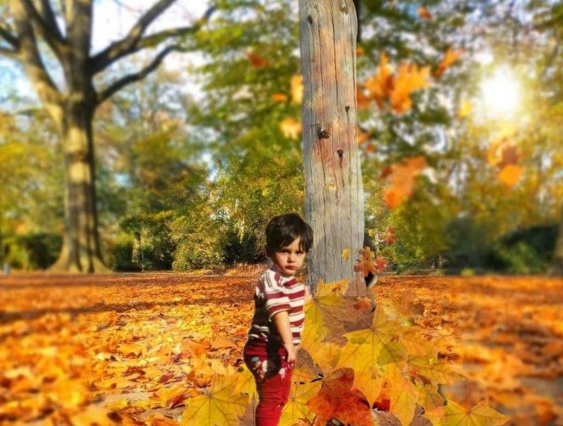 امیرعلی امیرعلی پنجه