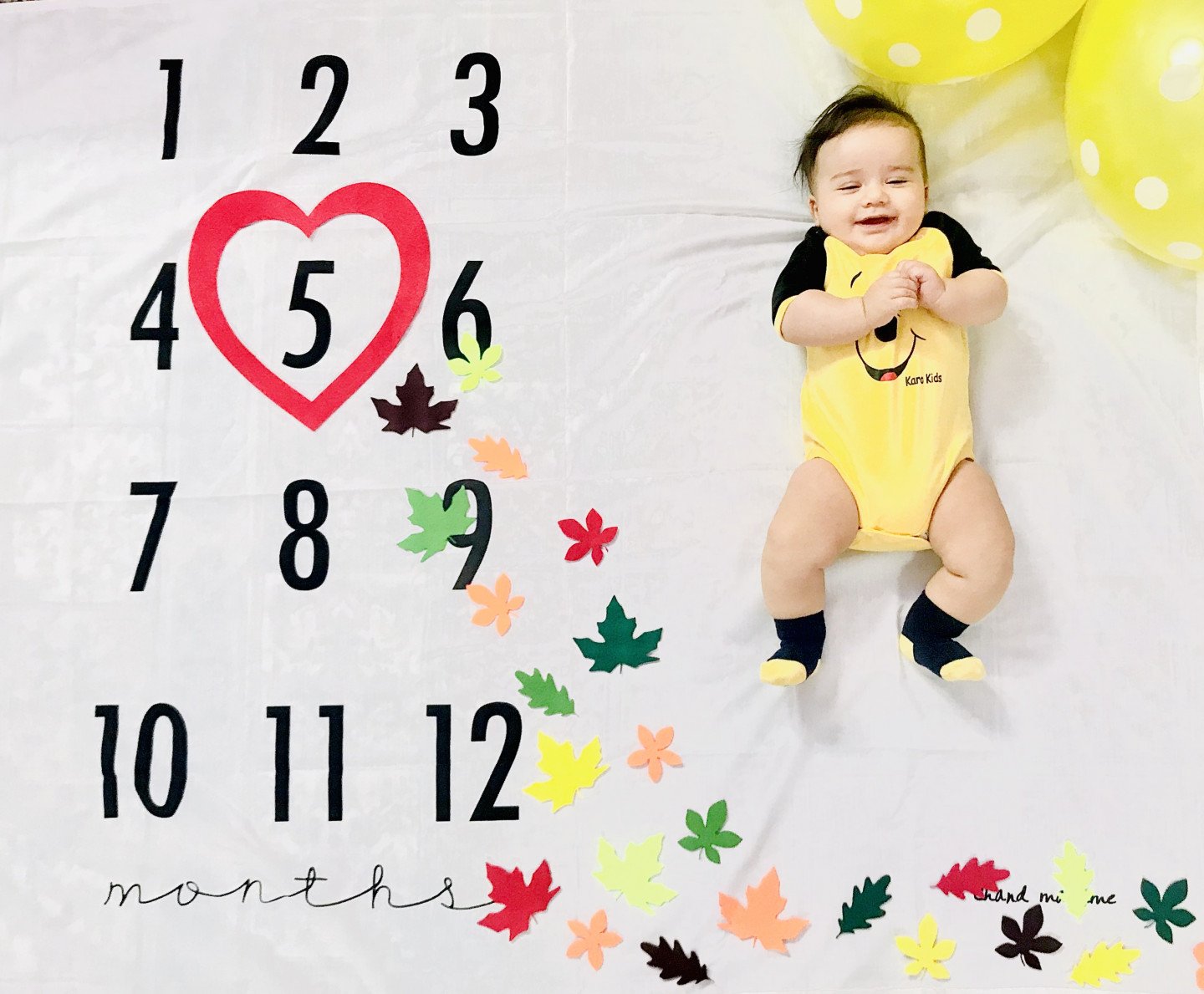 تم-و-تزیینات-نمدی-طرح-گل-و-برگ-21617