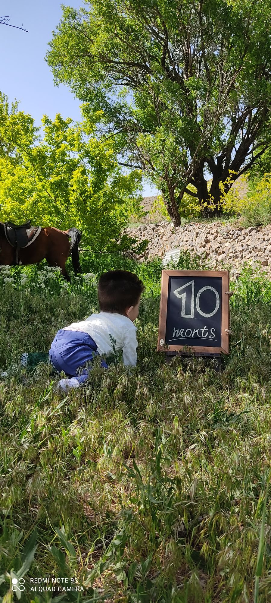 تم عکس بهاری کودک آرمین مهدیان