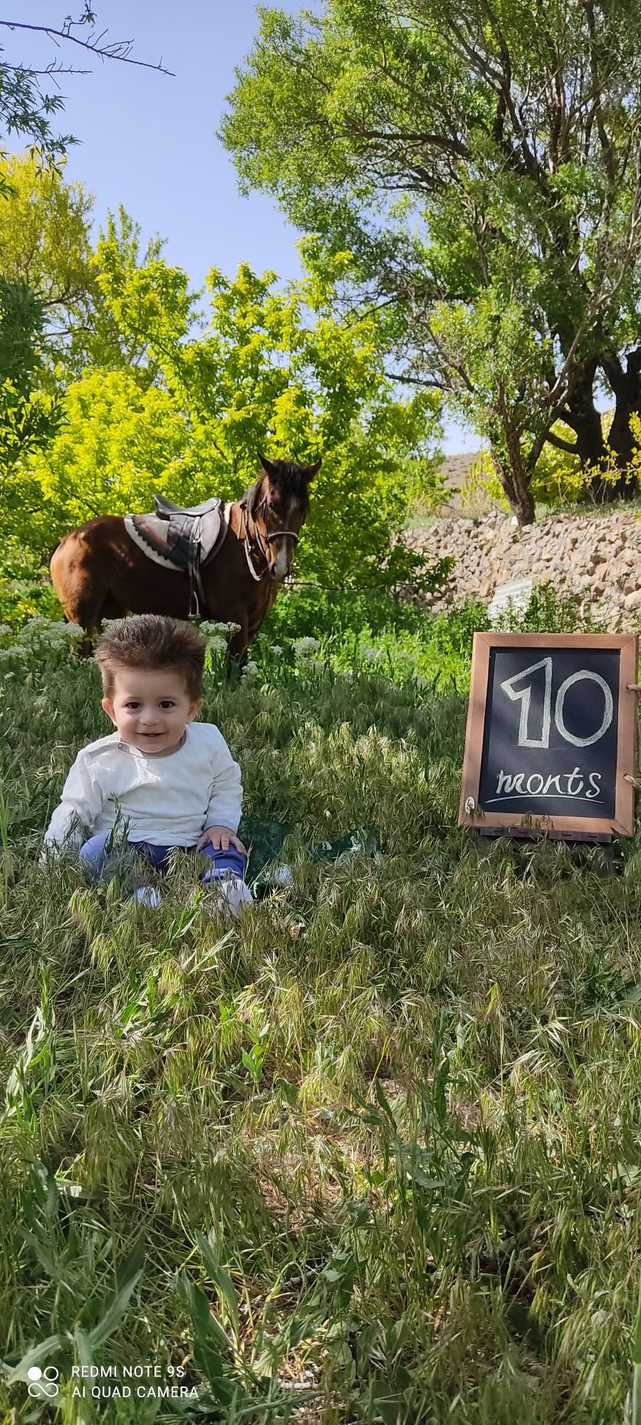 تم عکس بهاری کودک آرمین مهدیان