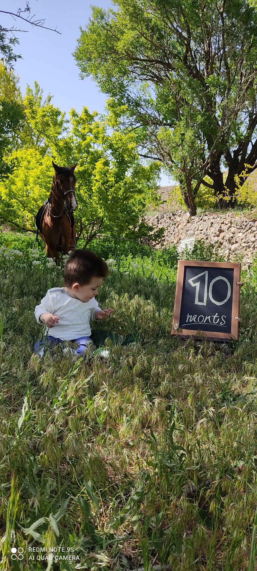 تم عکس بهاری کودک آرمین مهدیان