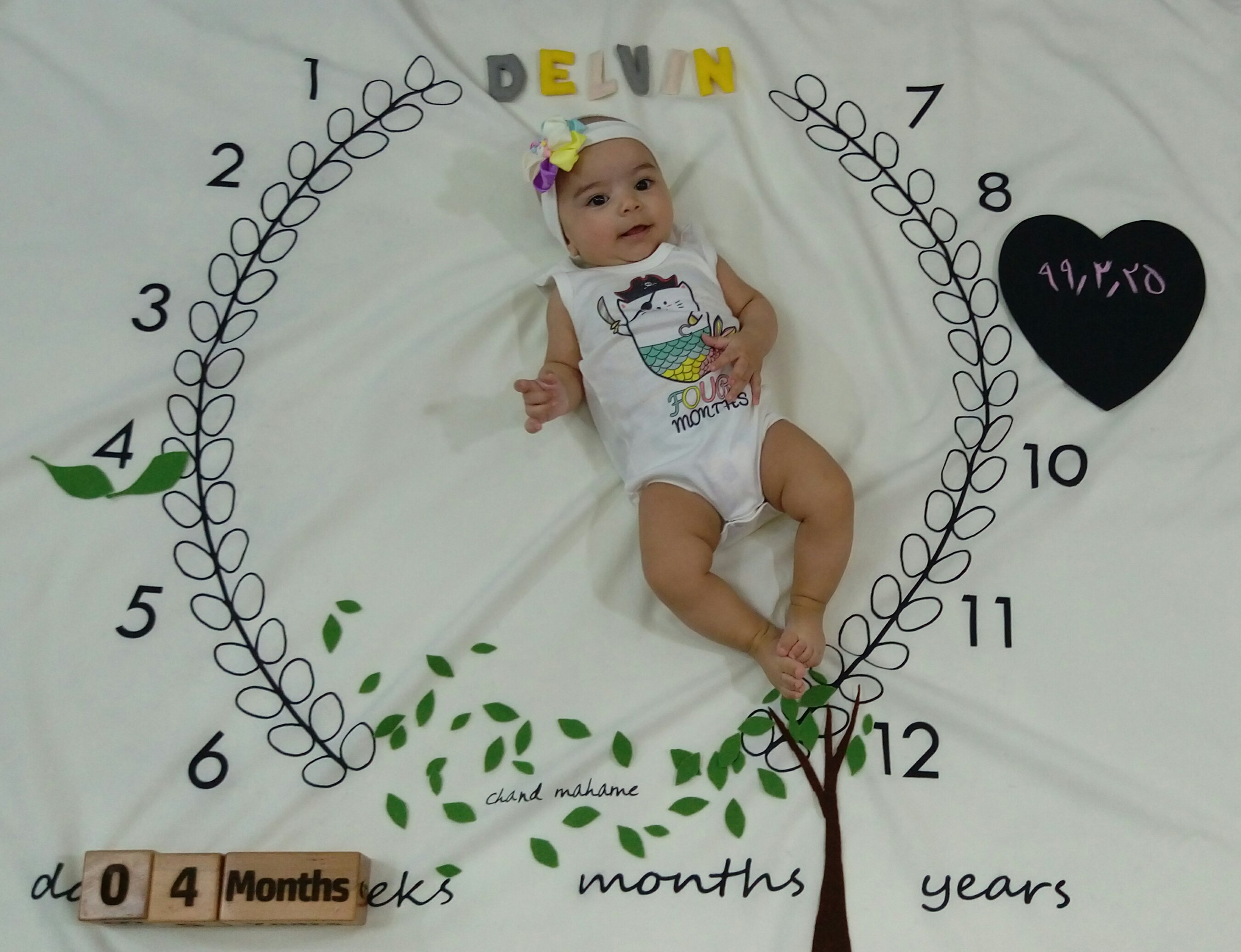 پارچه ماه شمار طرح شاخه زیتون دلوین حبیبی