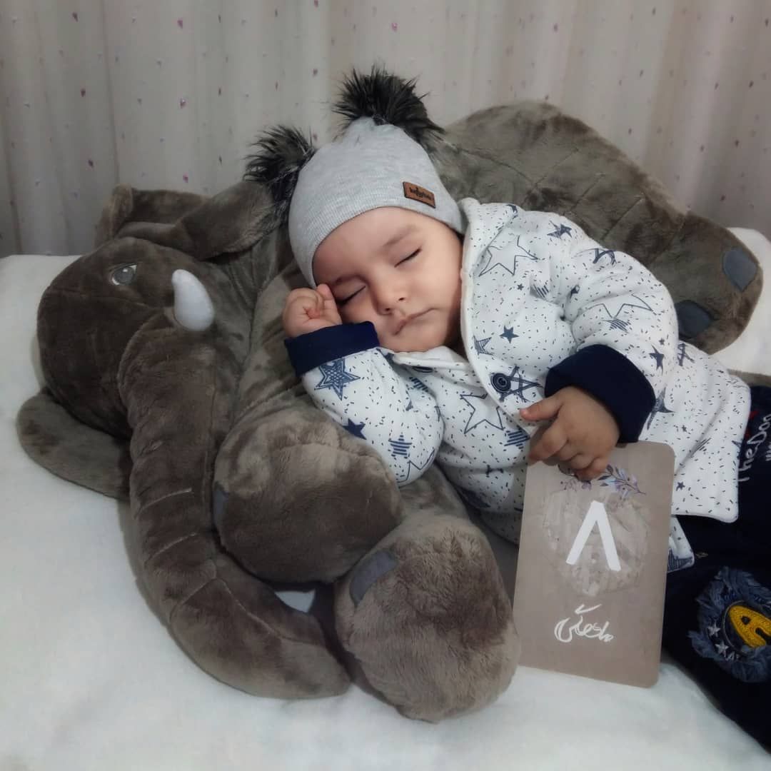 هشت ماهگی نوزاد محمد امین اردکانی
