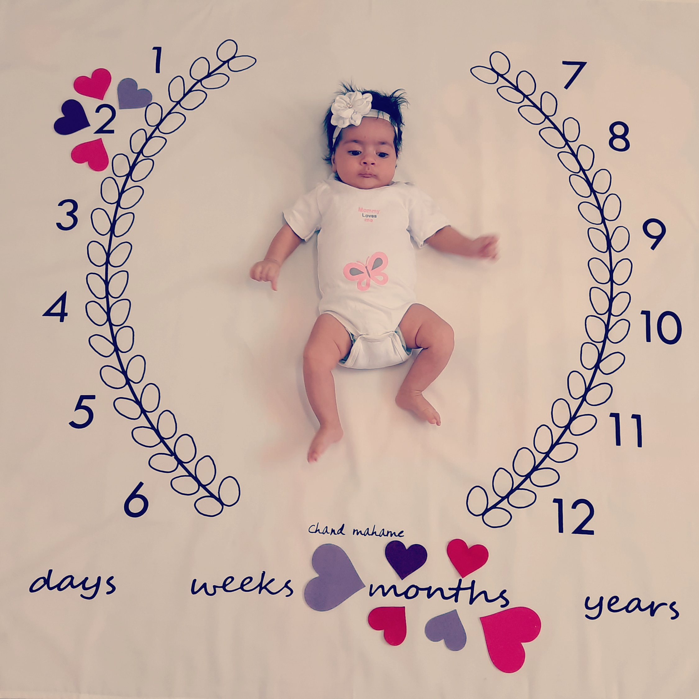 تم-و-تزیینات-نمدی-19452