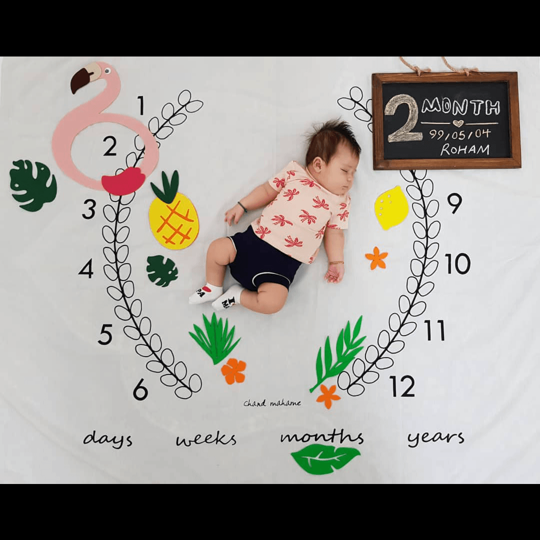 تم-های-عکاسی-19236