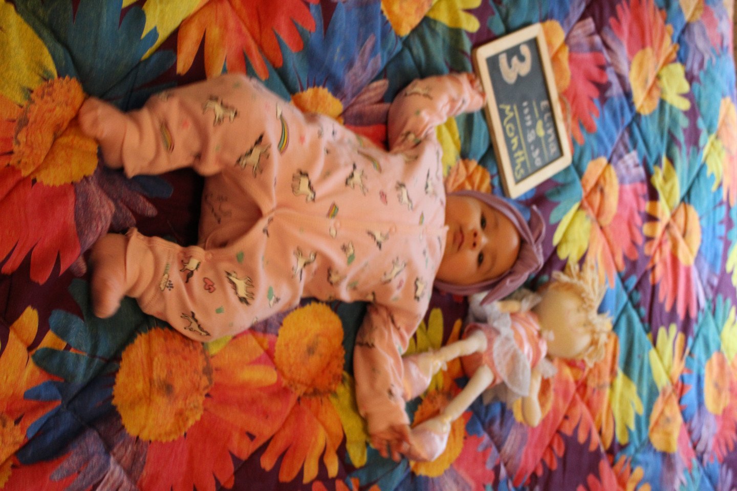 تخته_سیاه_کوچک-32520