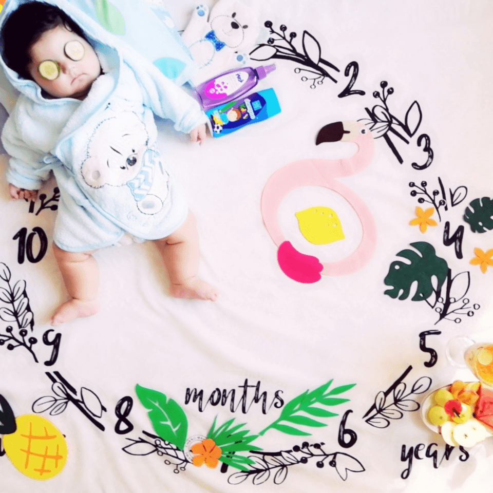 تم-های-عکاسی-20962