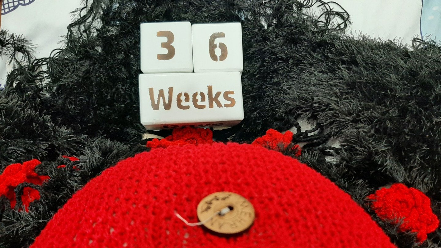 بارداری مهراد هنربخش