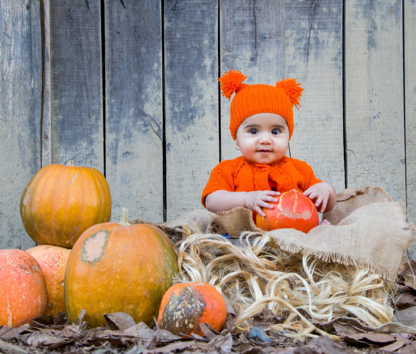 شش ماهگی نوزاد آسناحاجی پور