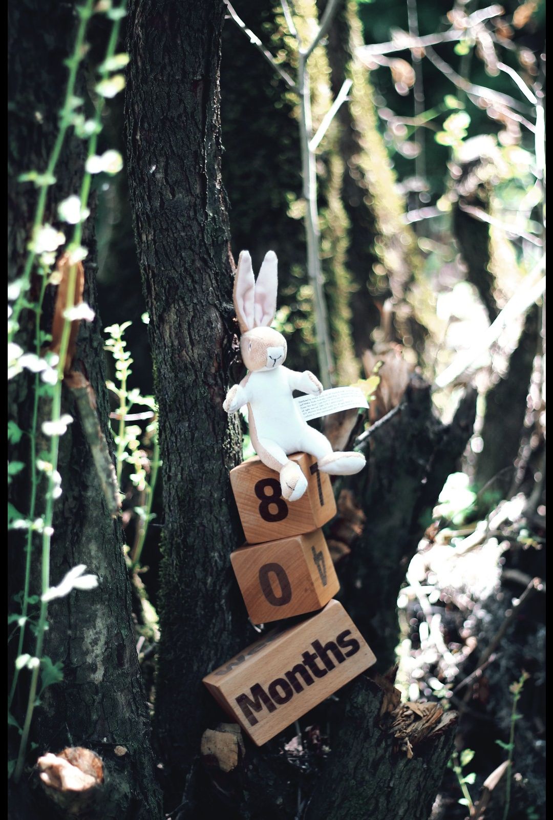 عکس نوزاد پسر آرن طلوعی