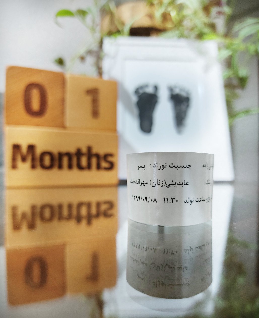 یک ماهگی نوزاد آرن طلوعی