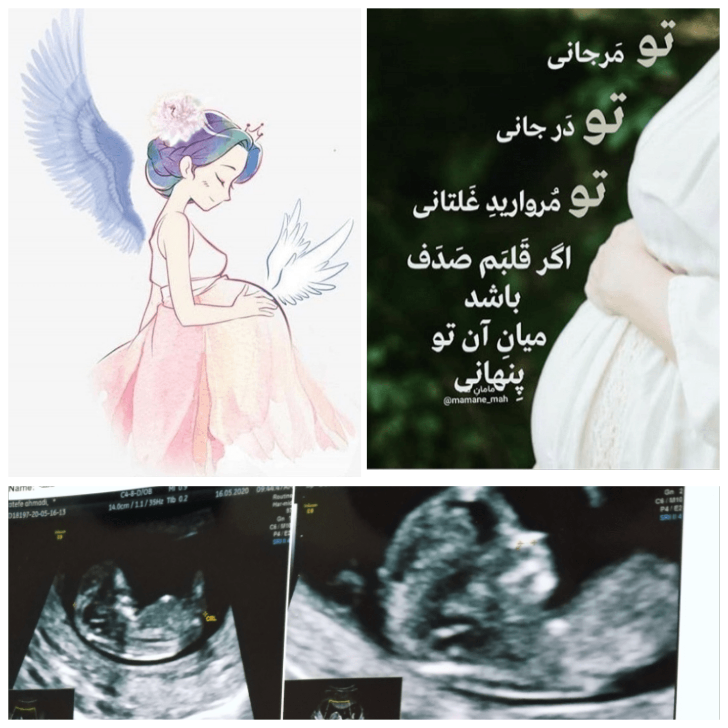 ماه چهارم بارداری hanisa