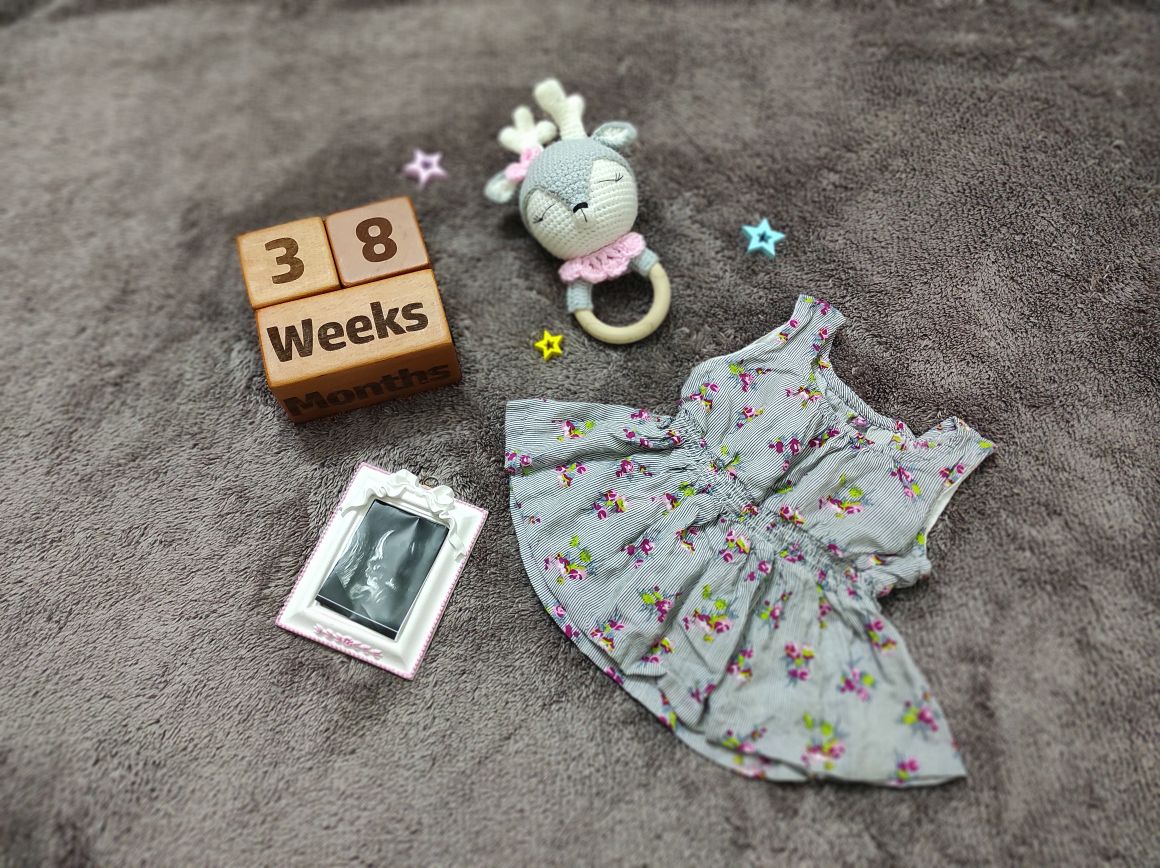 بارداری سیده رستا هاشمی