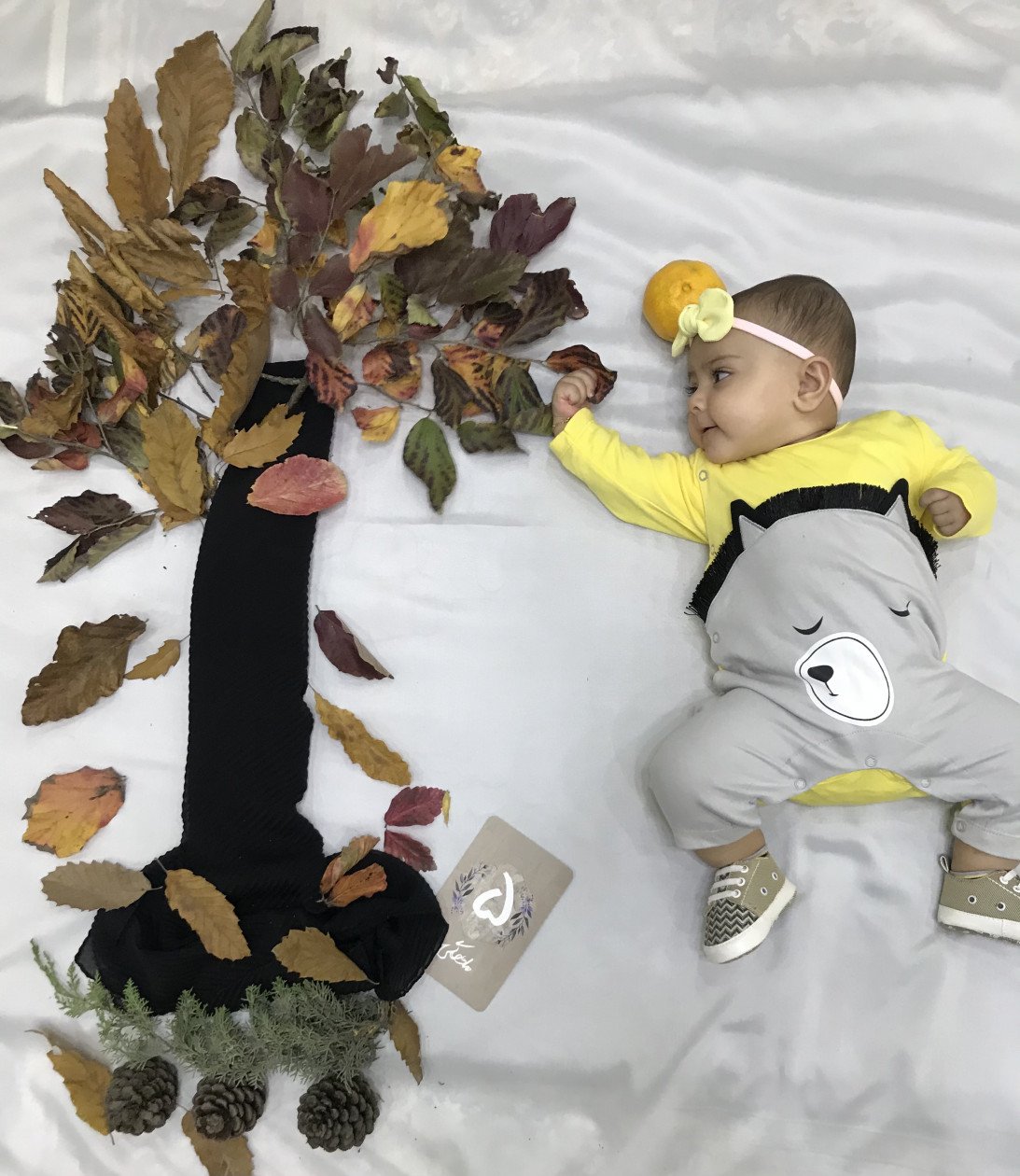 شش ماهگی نوزاد دلین سادات حمزه