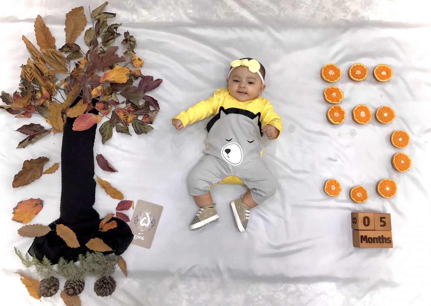 دفترهای-خاطرات-46493