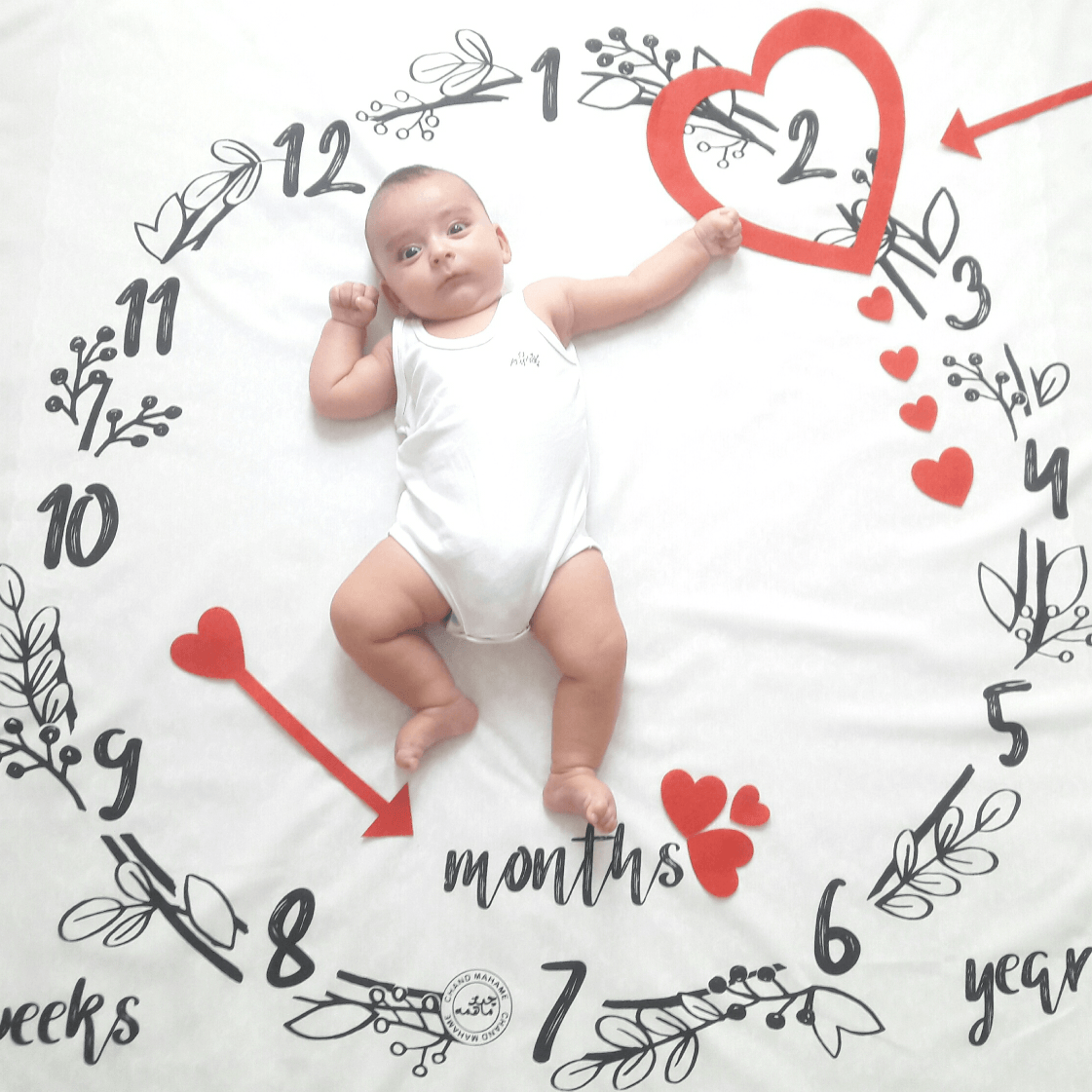 تم-های-عکاسی-20235