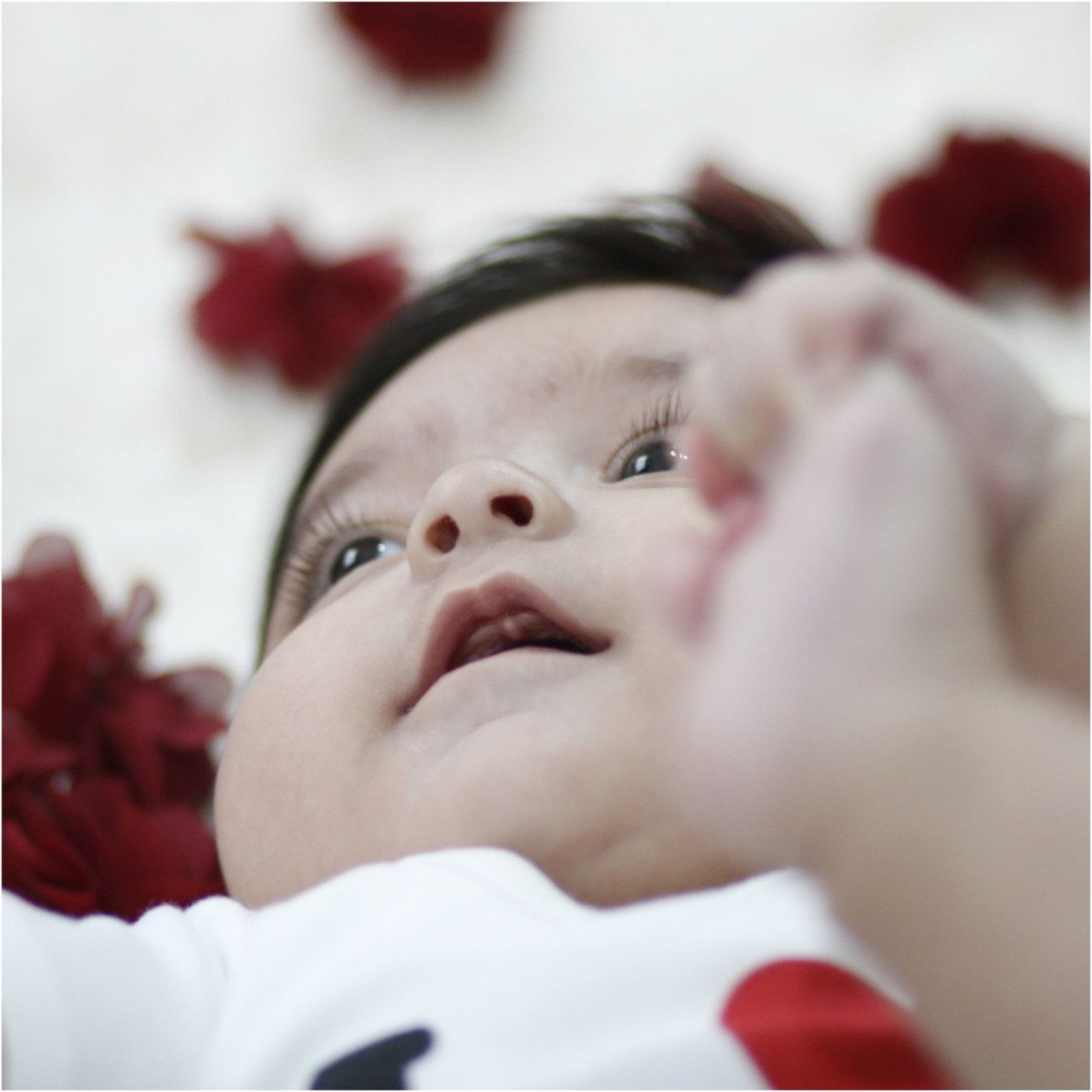 جشن کریسمس کودک ارمیا و الین