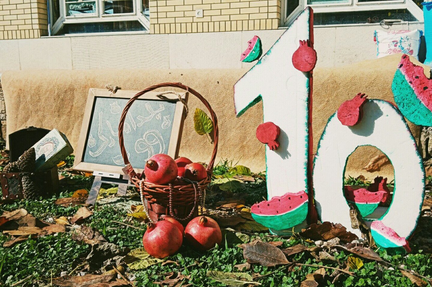 ده ماهگی نوزاد نهال سیاوشی