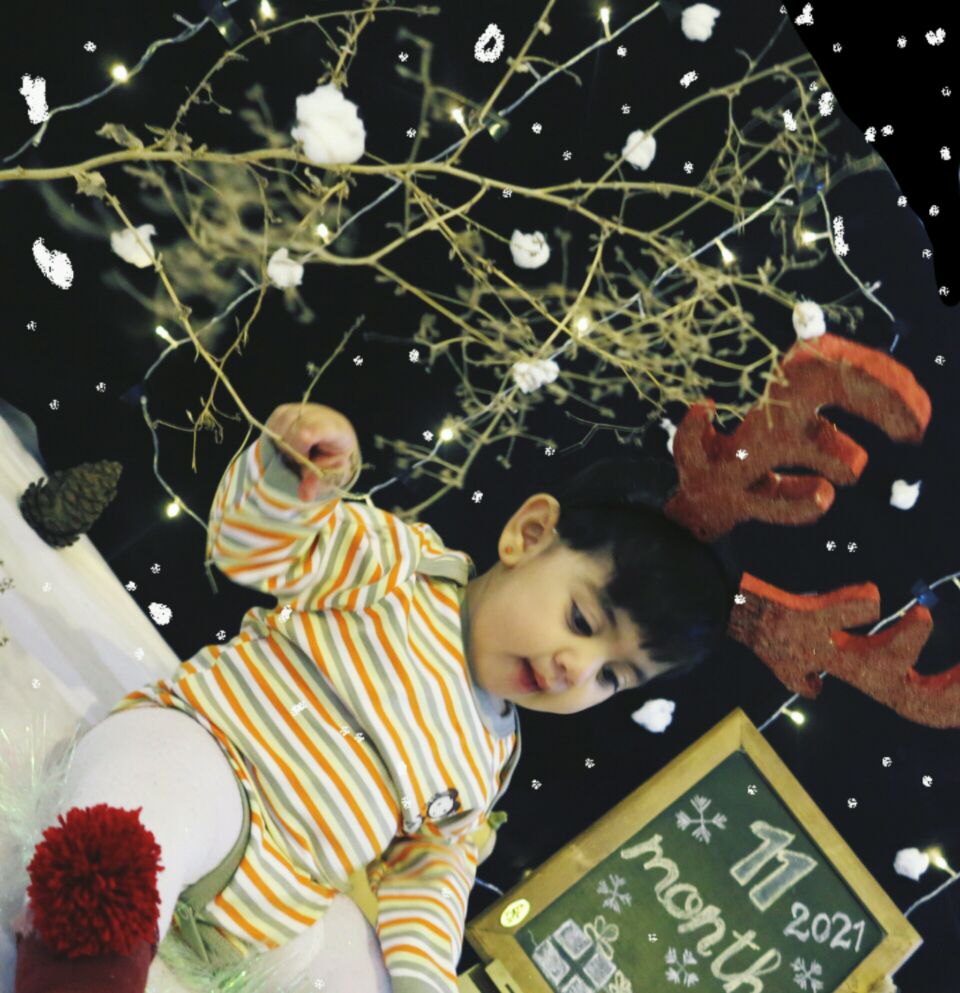 تم عکس زمستانی نوزاد نهال سیاوشی