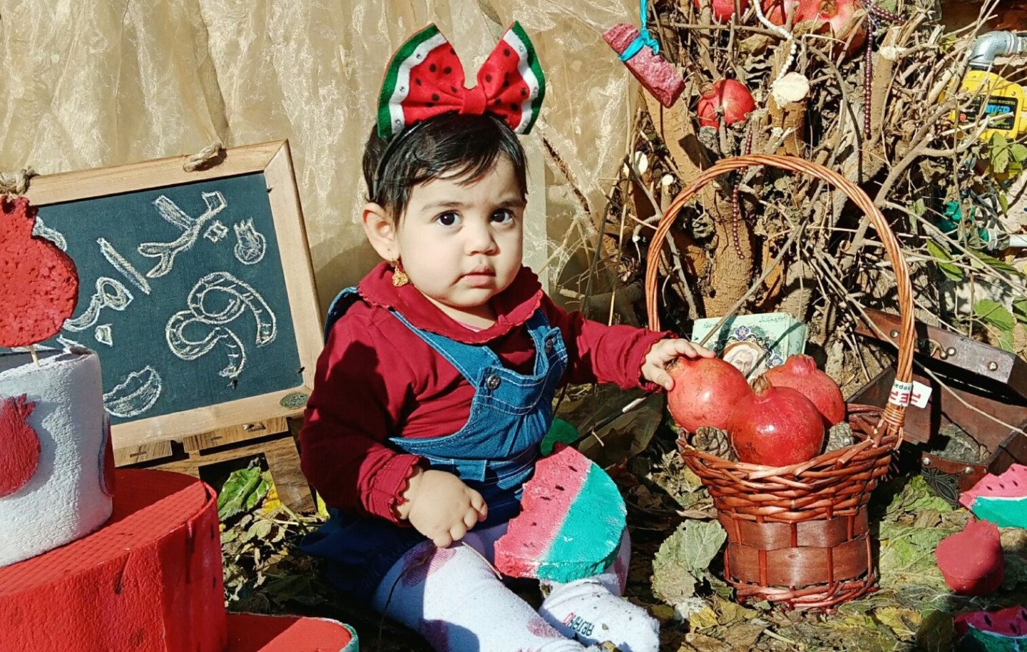 ده ماهگی نوزاد نهال سیاوشی