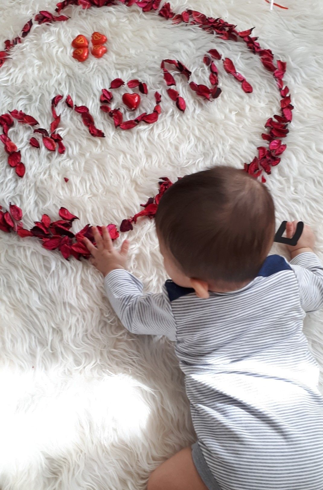 جشن ولنتاین کودک شهسام شریفی