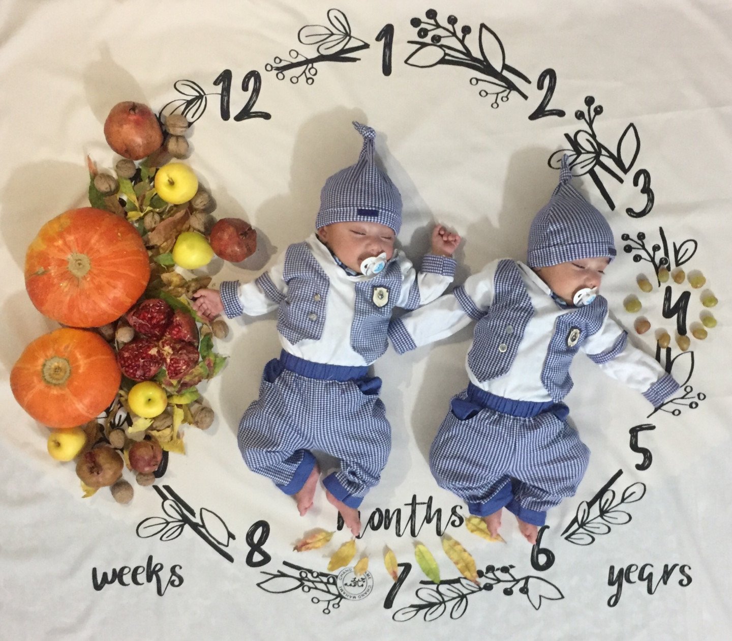 تم عکس پاییزی نوزاد سام و ساميار حاجي علياني