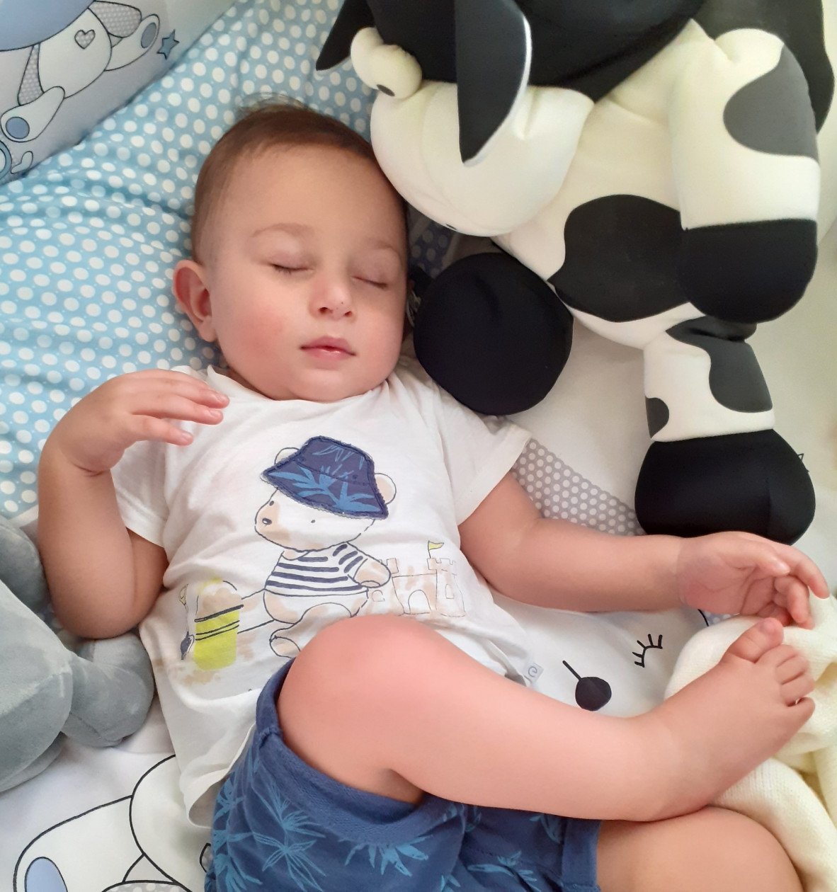 سیزده ماهگی کودک شاهان رجبی