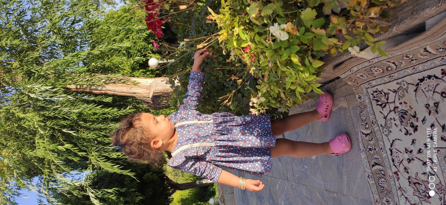 دو سالگی کودک آلا کشاورز