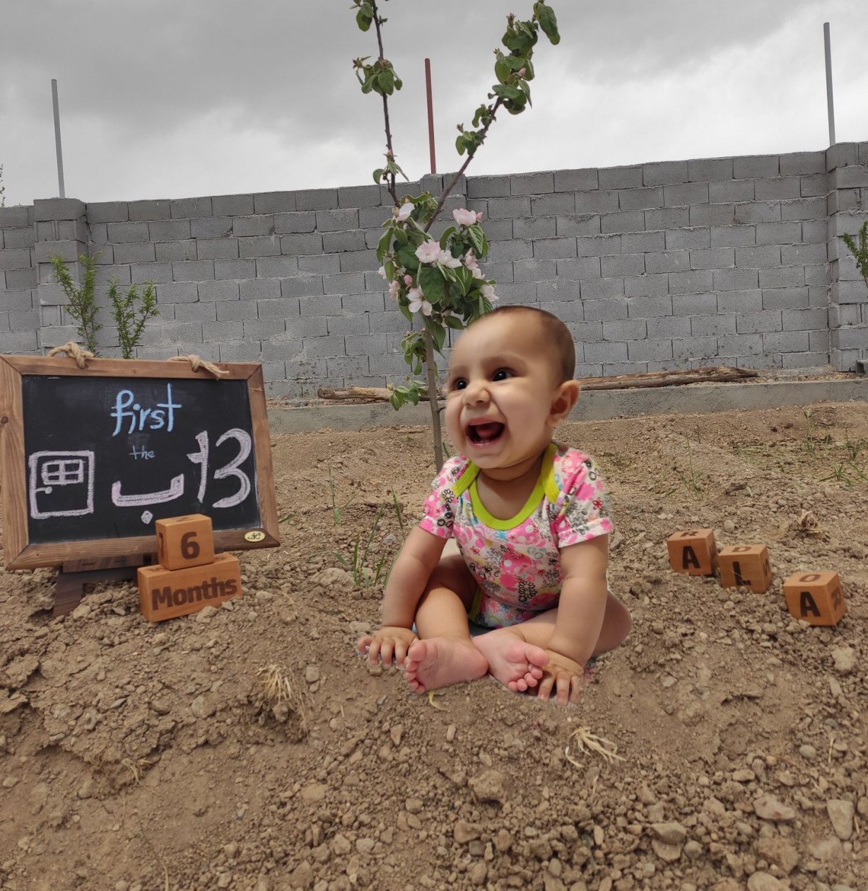 عکس سیزده بدر آلا کشاورز