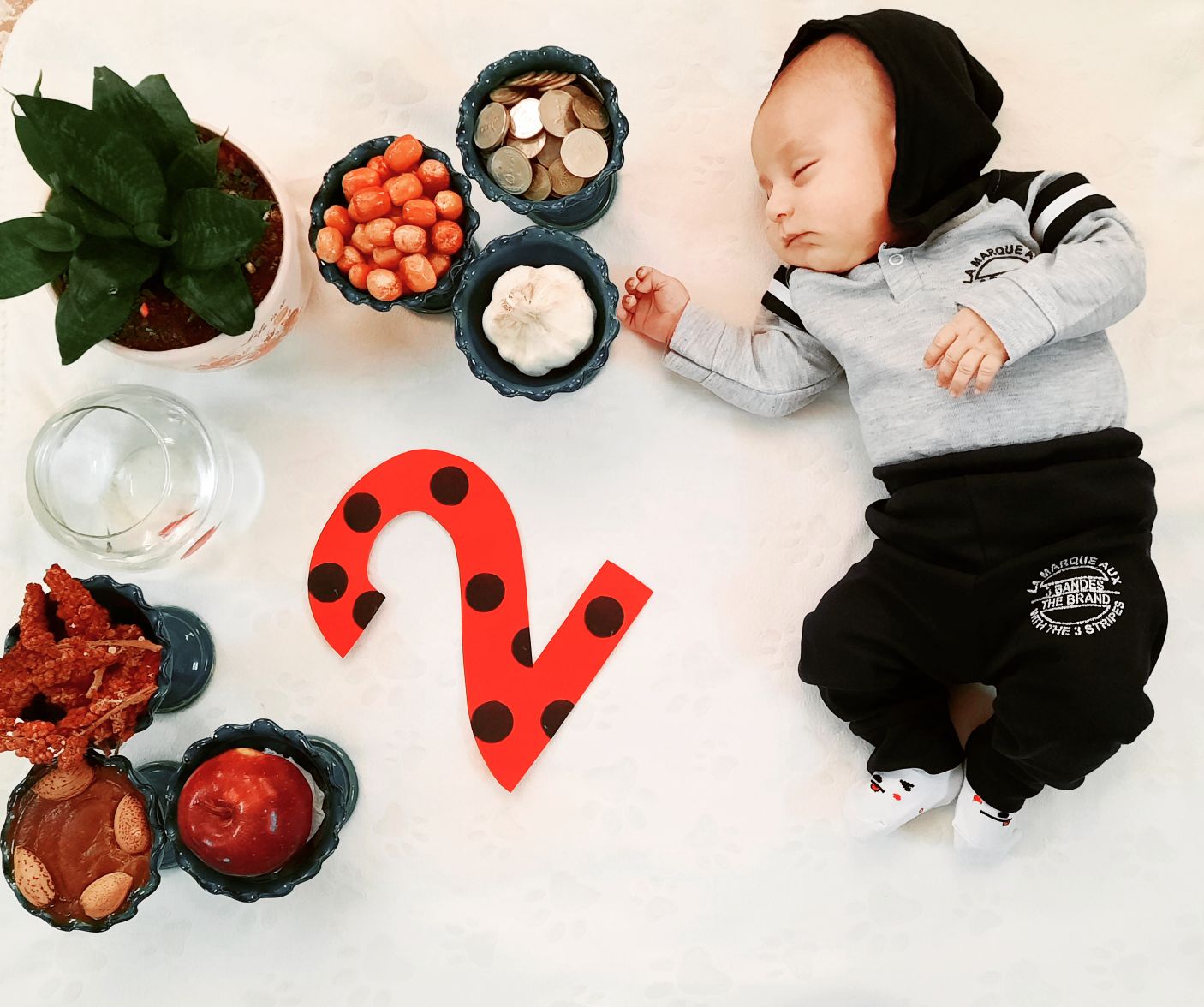 تم عکس بهاری کودک محمد صدرا جمالی