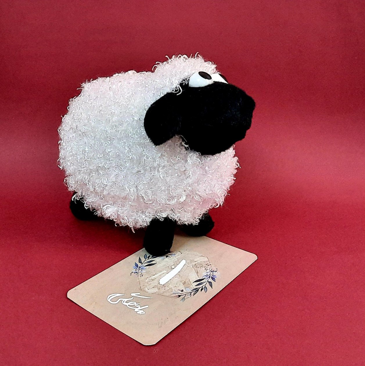 یک ماهگی نوزاد سام پورزال