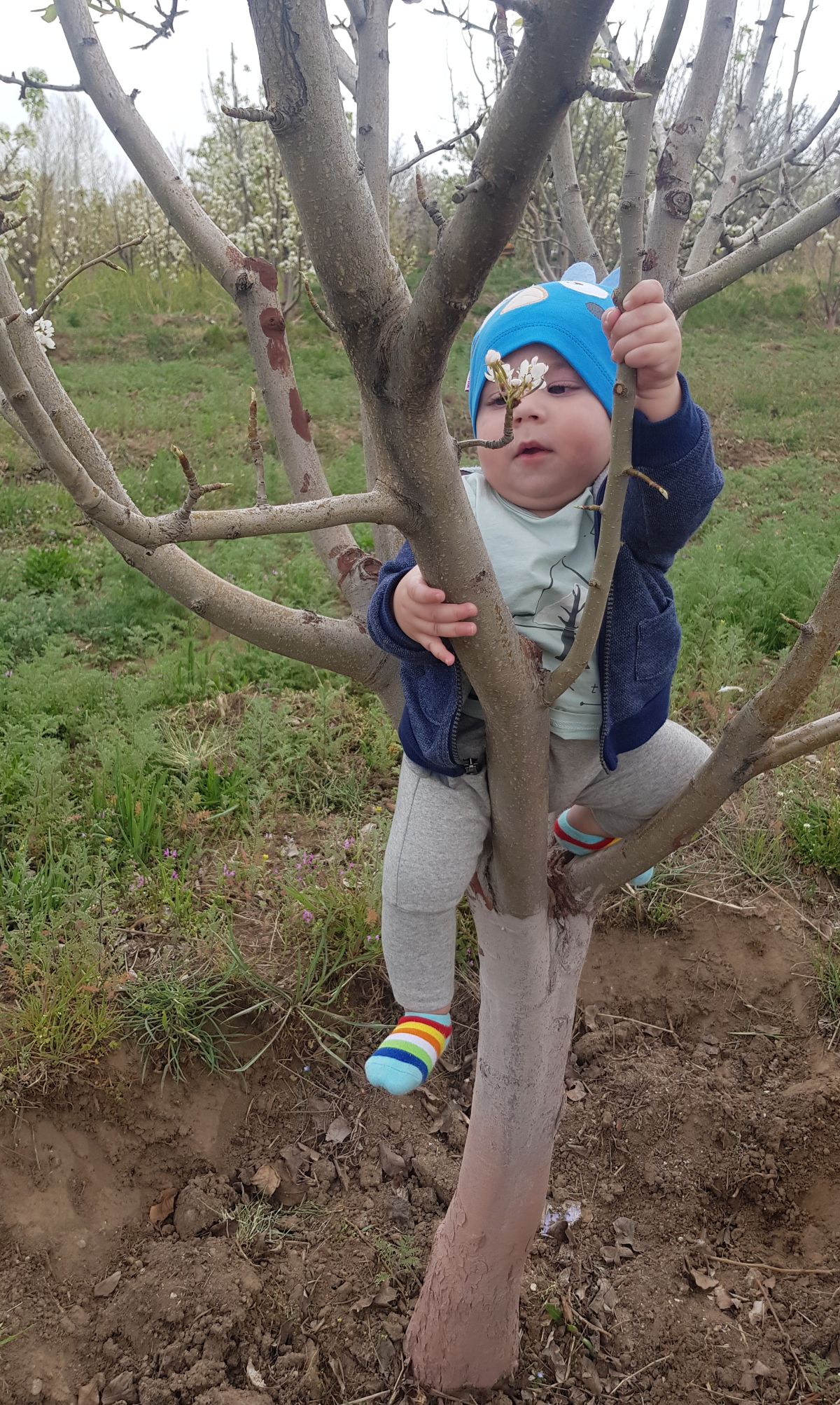 هشت ماهگی نوزاد arsam