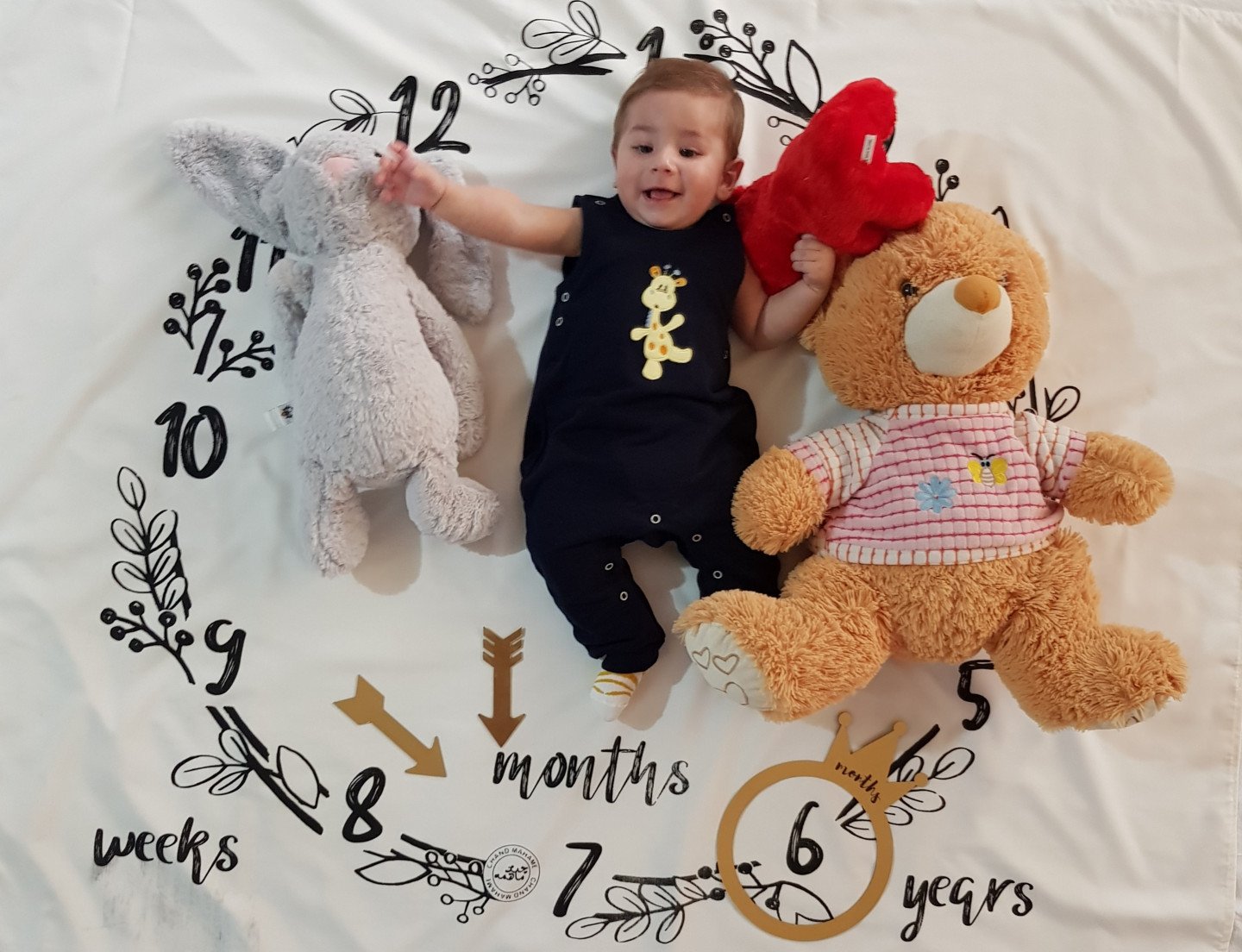 شش ماهگی من arsam