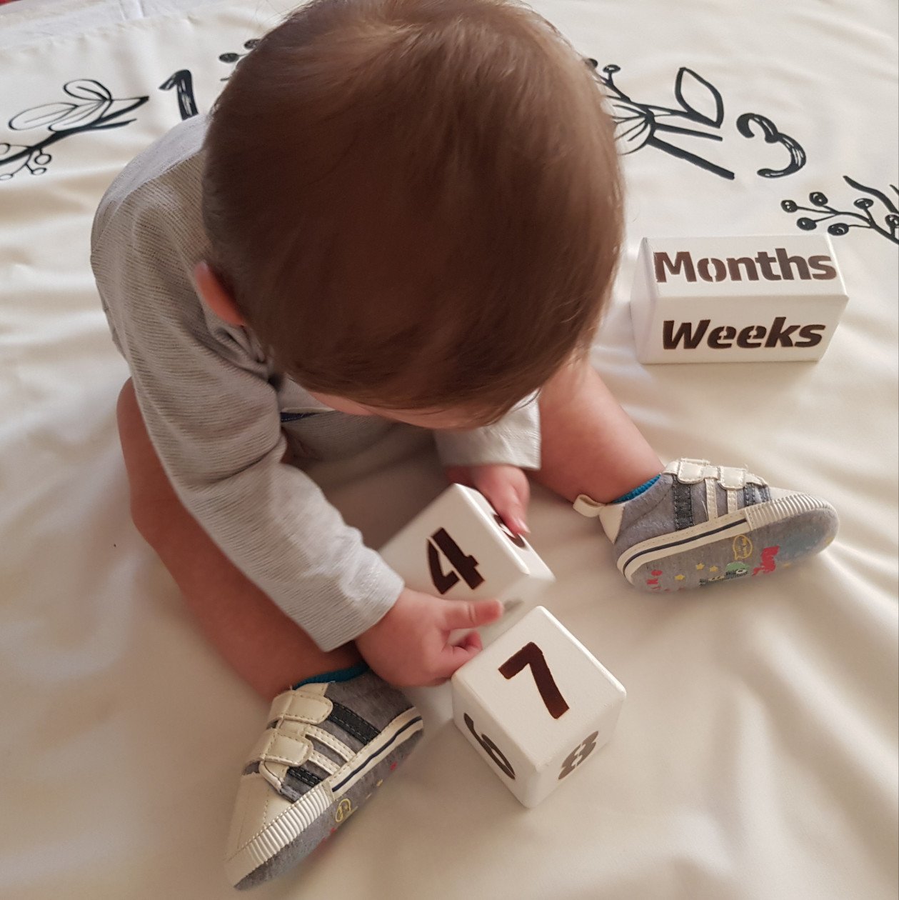 عید نوروز arsam