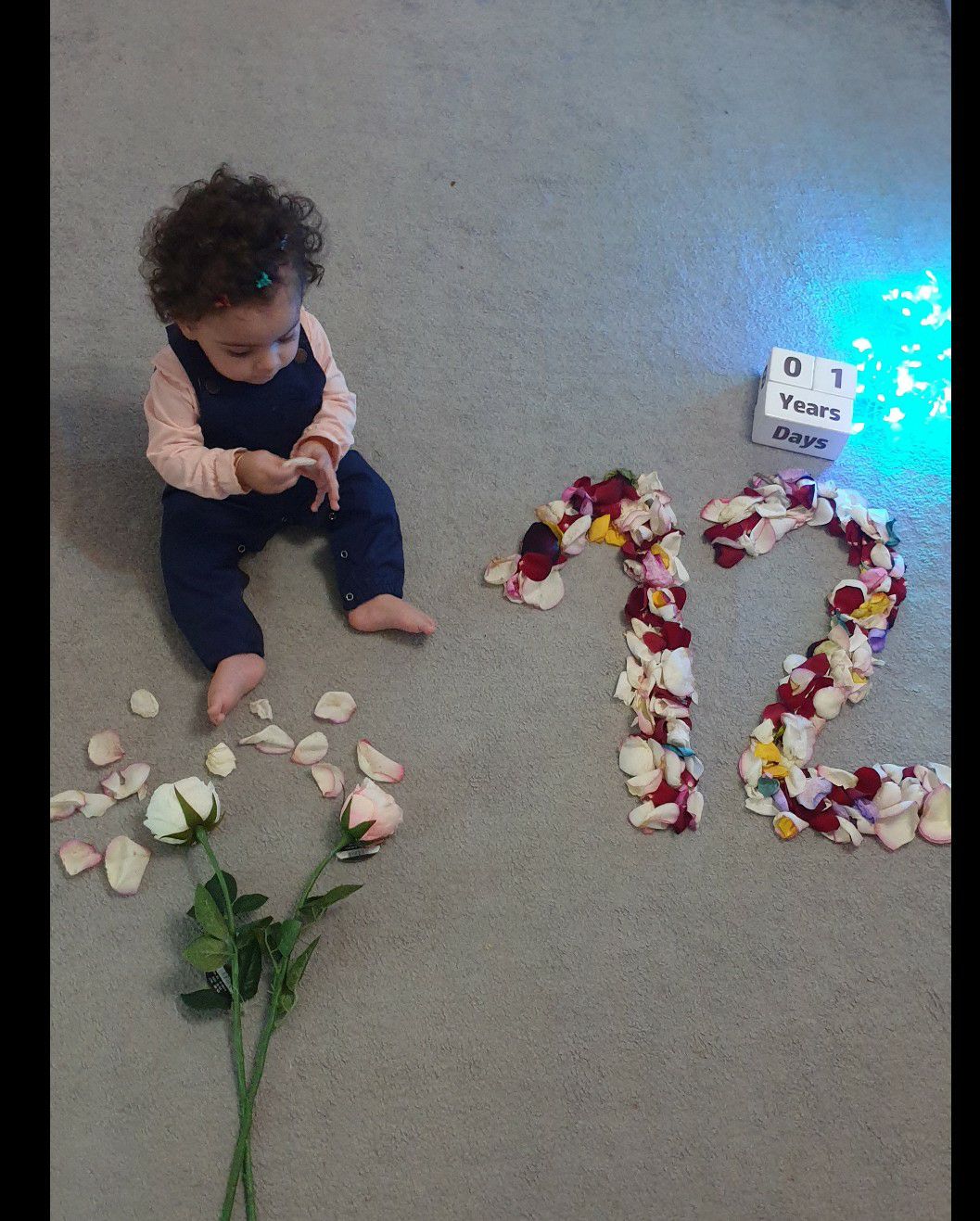 مکعب تاریخ‌شمار دلسا ذنونی واحد