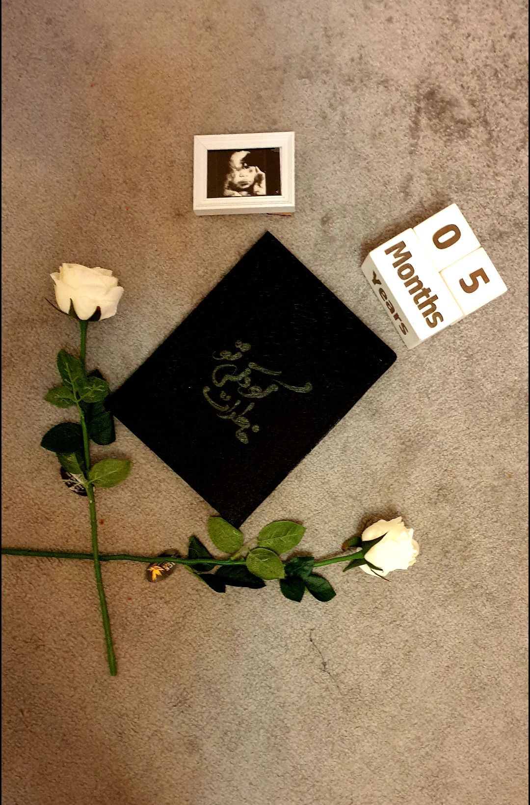 بارداری دلسا ذنونی واحد