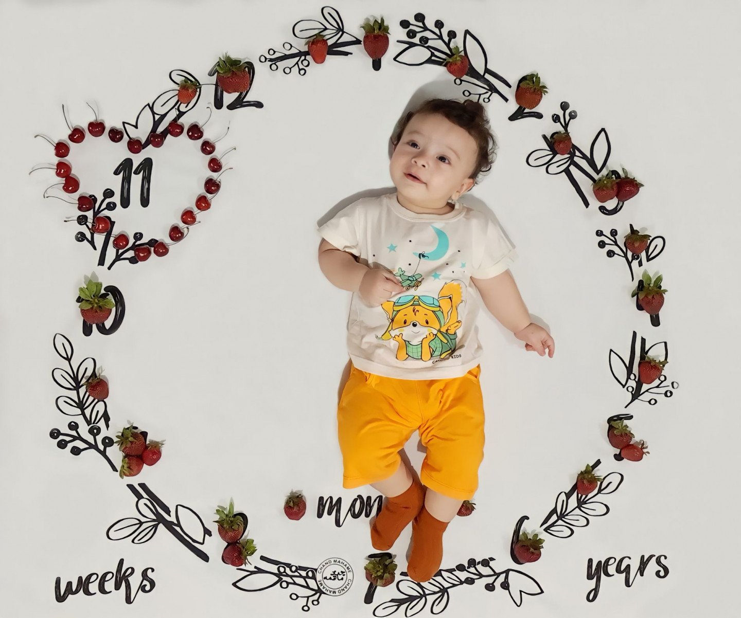 عکاسی با میوه امیرعلی محمدی