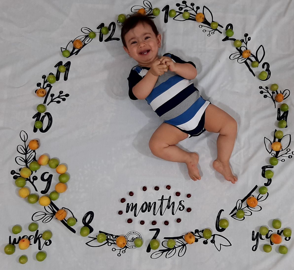 عکاسی با میوه نیهاد فتحی