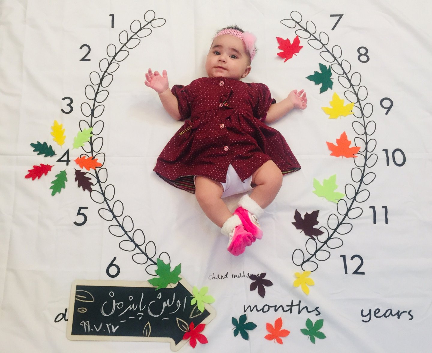 غلتیدن نوزاد دلوین قربانی