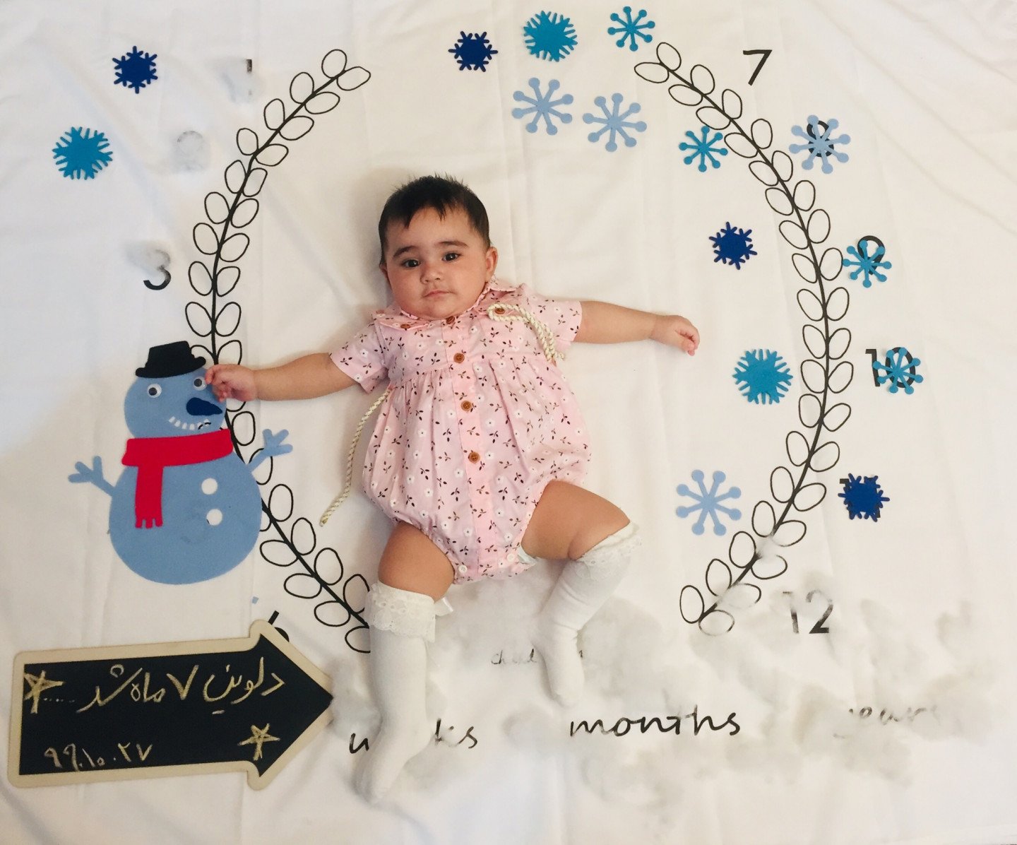 تم عکس زمستانی نوزاد دلوین قربانی