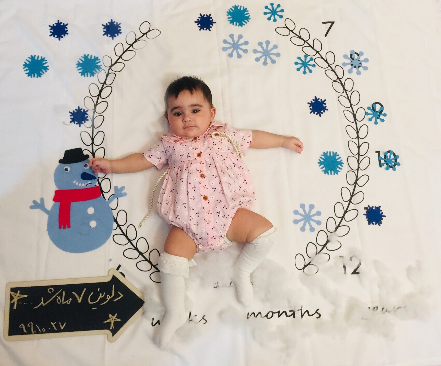 تم عکس زمستانی نوزاد دلوین قربانی