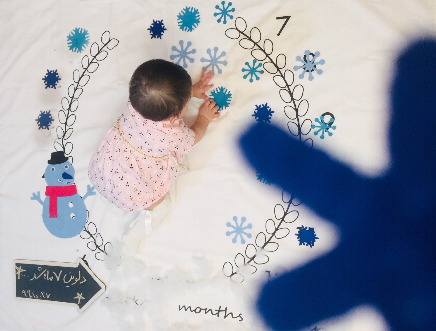 تم عکس زمستانی نوزاد دلوین قربانی