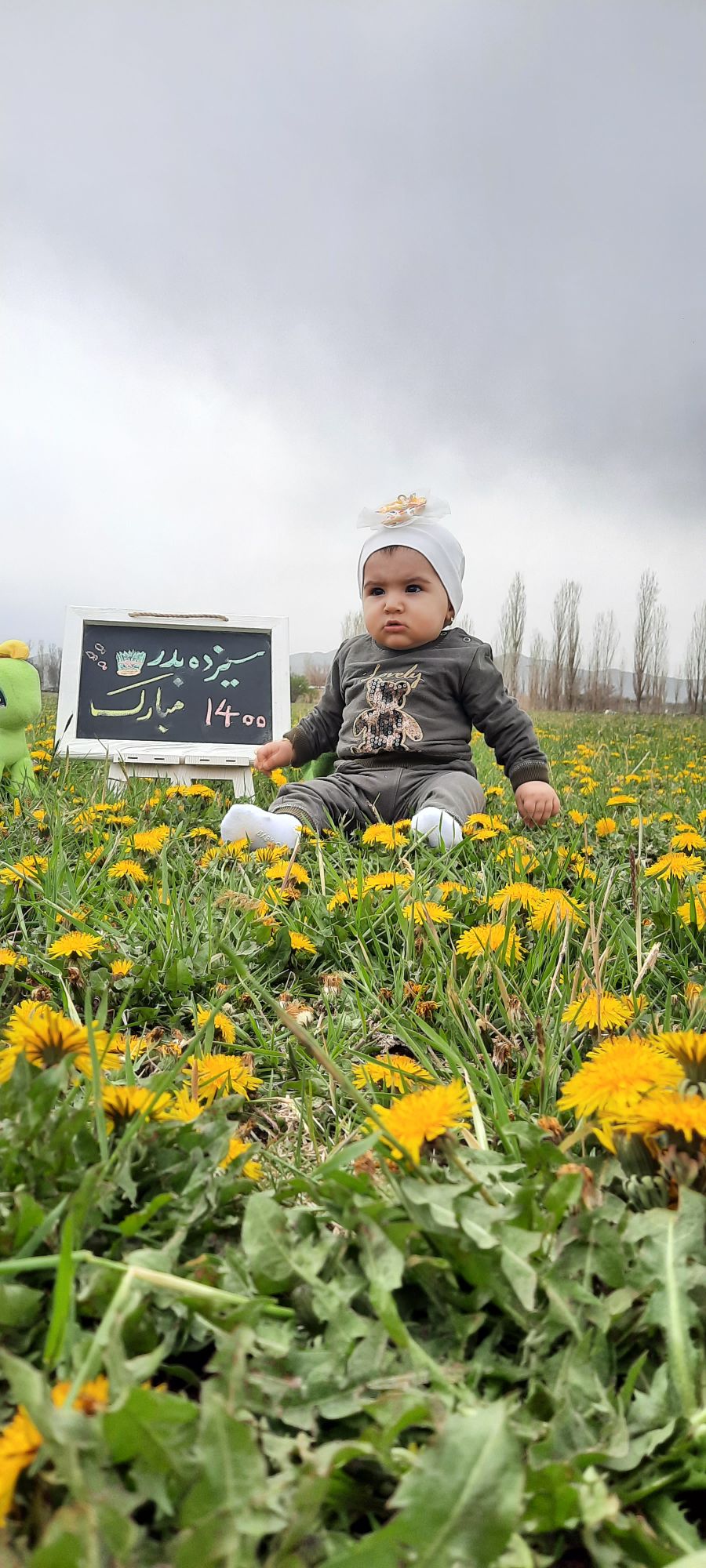 عکس سیزده بدر کارینا روشنی