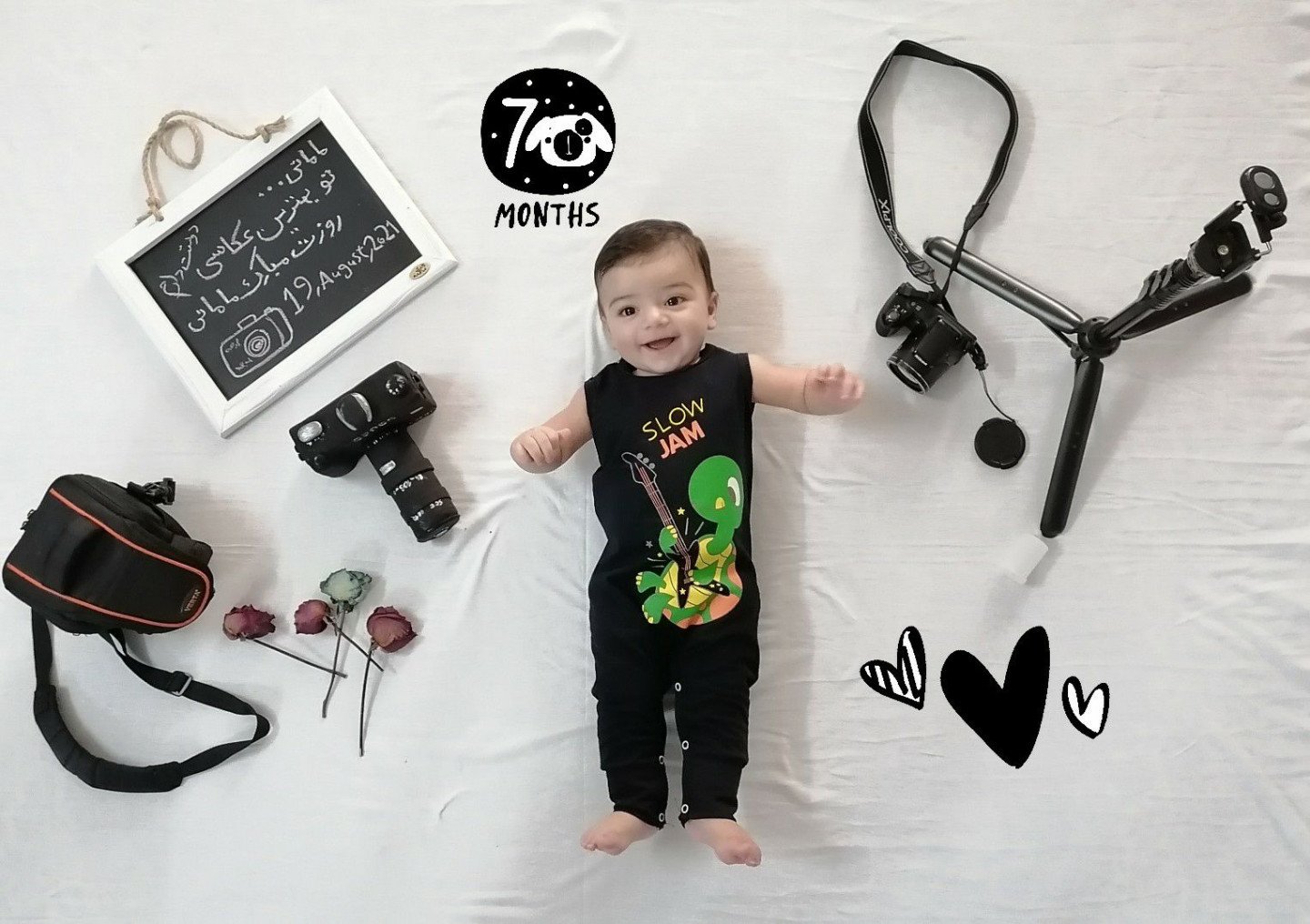 محصول محمد مهدی