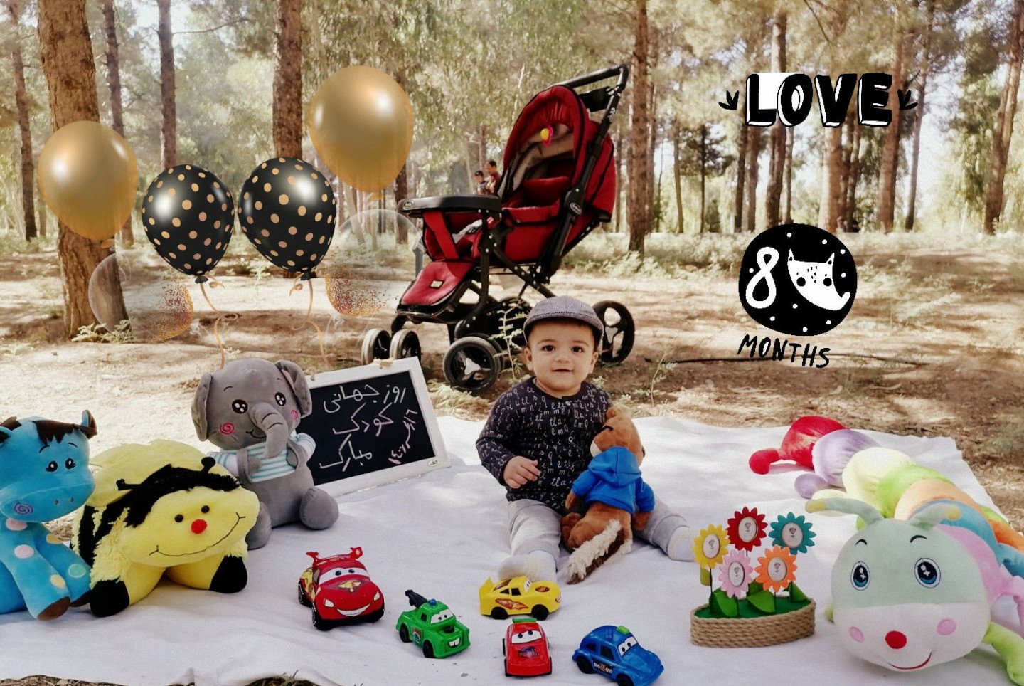 محصول محمد مهدی