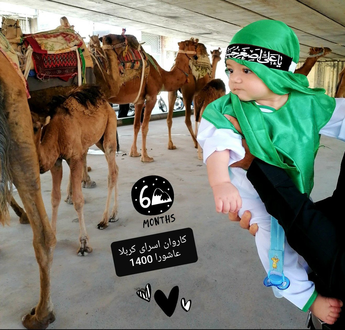 روز-عاشورا محمد مهدی