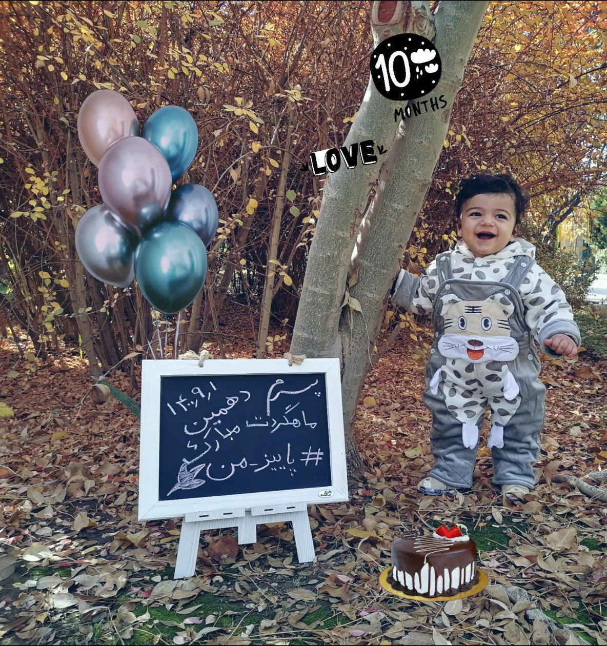 ایده محمد مهدی