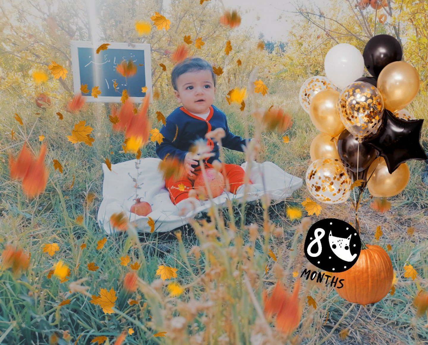 محصول محمد مهدی