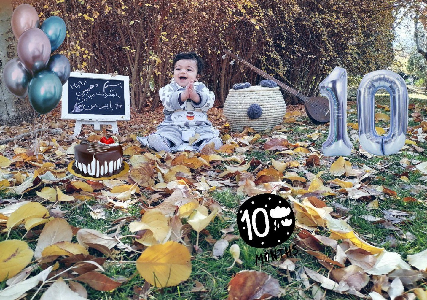 تم عکس پاییزی نوزاد محمد مهدی